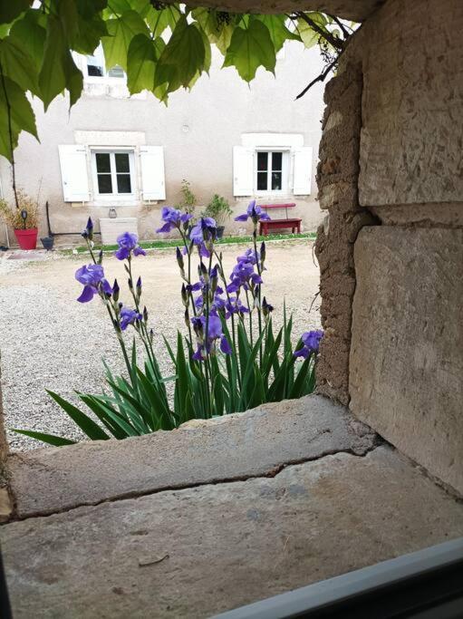 Gite De Charme - 3 Chambres, 5 Lits - De 4 A 7 Personnes Avanton Exterior foto